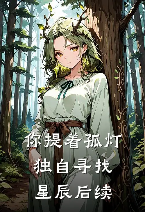 你提着孤灯，独自寻找星辰后续