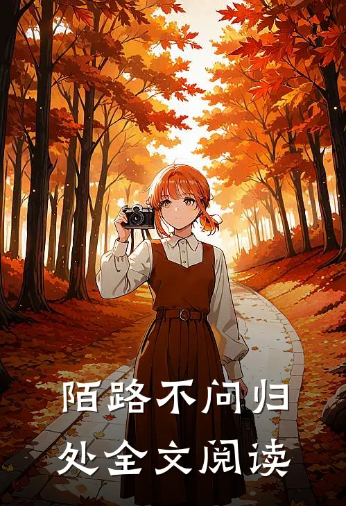 陌路不问归处全文阅读