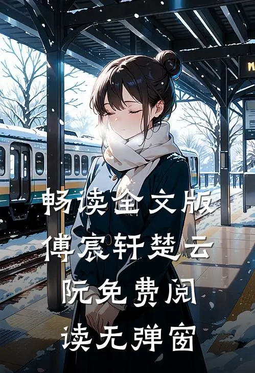 畅读全文版傅宸轩楚云阮免费阅读无弹窗