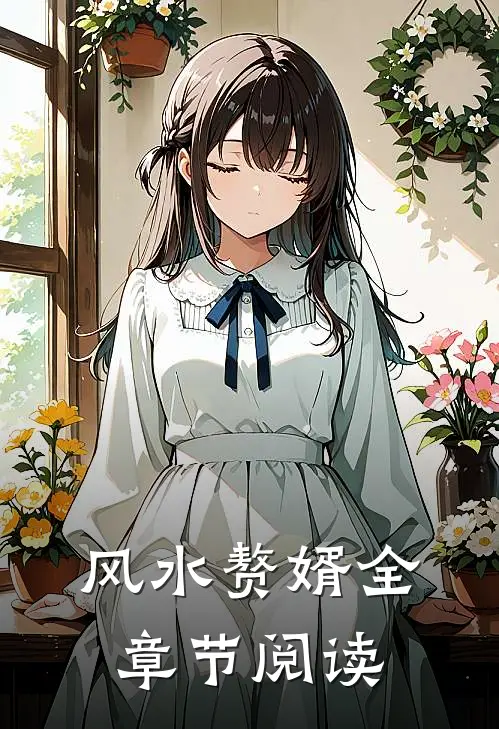 风水赘婿全章节阅读