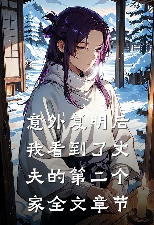 意外复明后，我看到了丈夫的第二个家全文章节