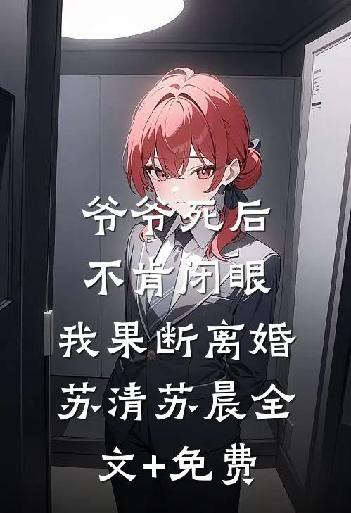 爷爷死后不肯闭眼，我果断离婚苏清苏晨全文+免费