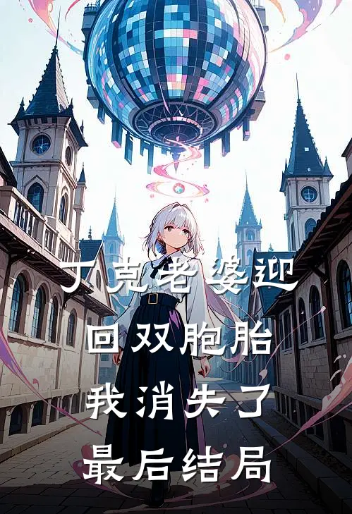 丁克老婆迎回双胞胎，我消失了最后结局