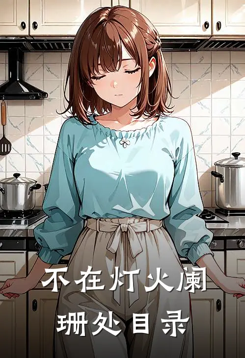 不在灯火阑珊处目录