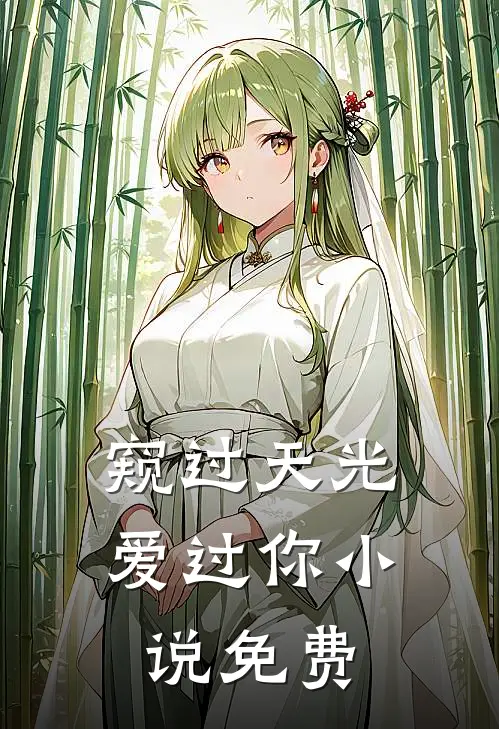 窥过天光爱过你小说免费