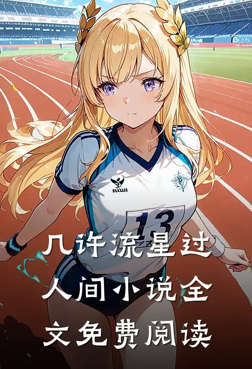几许流星过人间小说全文免费阅读