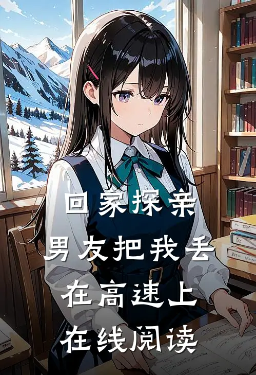 回家探亲，男友把我丢在高速上在线阅读