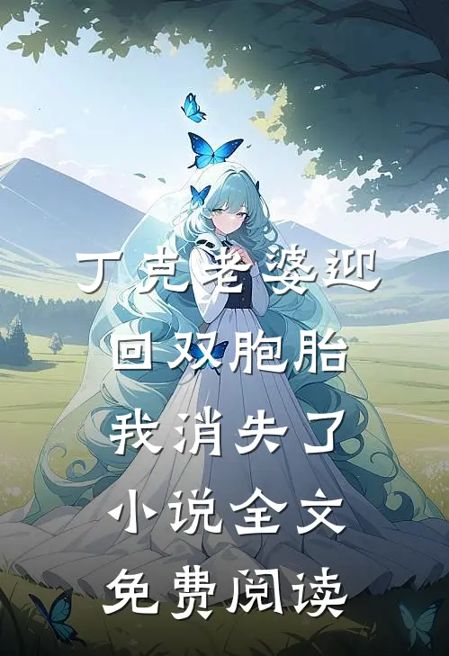 丁克老婆迎回双胞胎，我消失了小说全文免费阅读