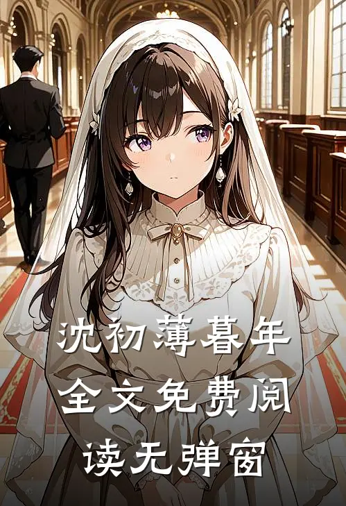 沈初薄暮年全文免费阅读无弹窗