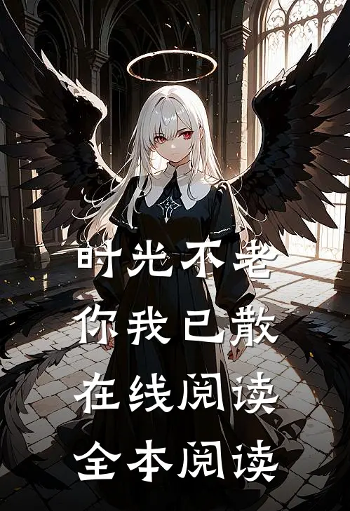 时光不老，你我已散在线阅读全本阅读