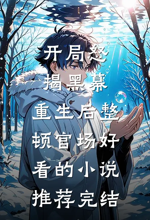 开局怒揭黑幕，重生后整顿官场好看的小说推荐完结