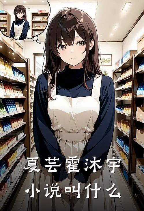 夏芸霍沐宇小说叫什么