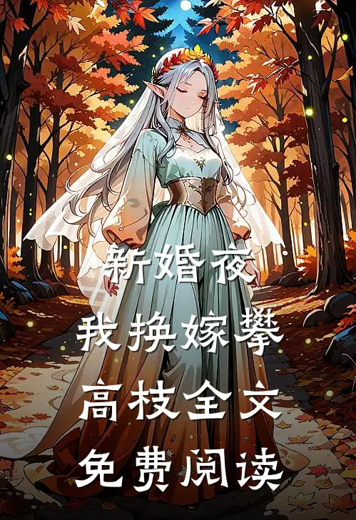 新婚夜，我换嫁攀高枝全文免费阅读