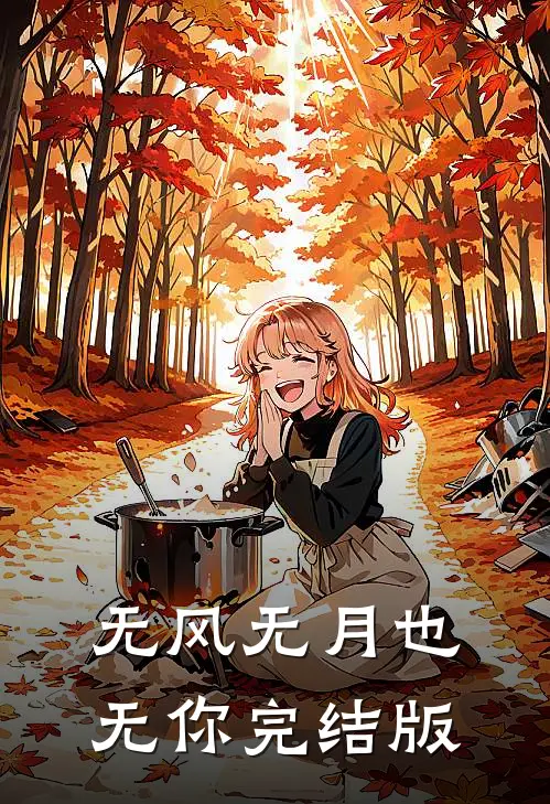 无风无月也无你完结版