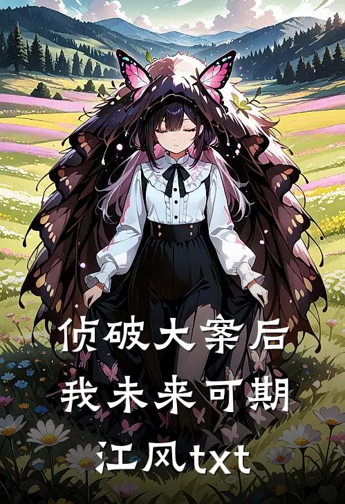 侦破大案后我未来可期江风txt