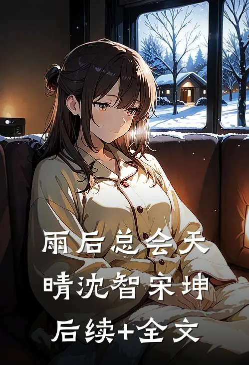 雨后总会天晴沈智宋坤后续+全文