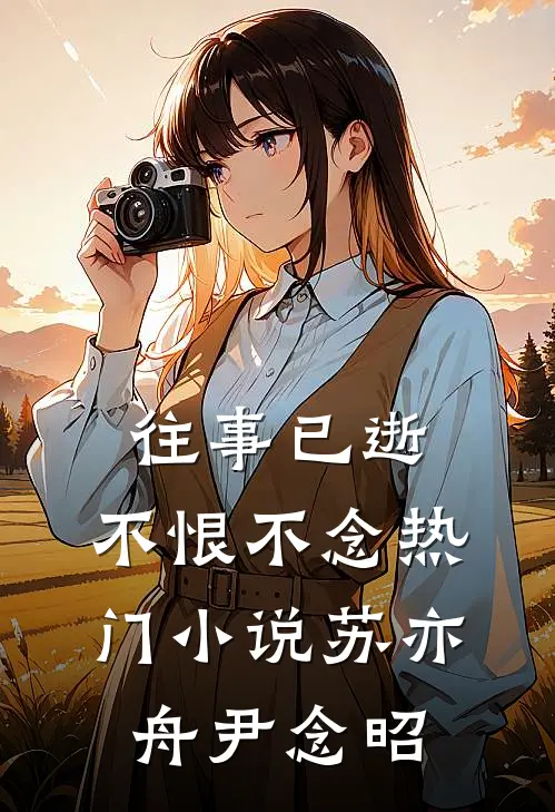 往事已逝，不恨不念热门小说苏亦舟尹念昭