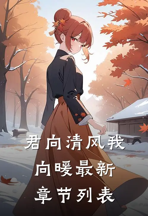 君向清风我向暖最新章节列表