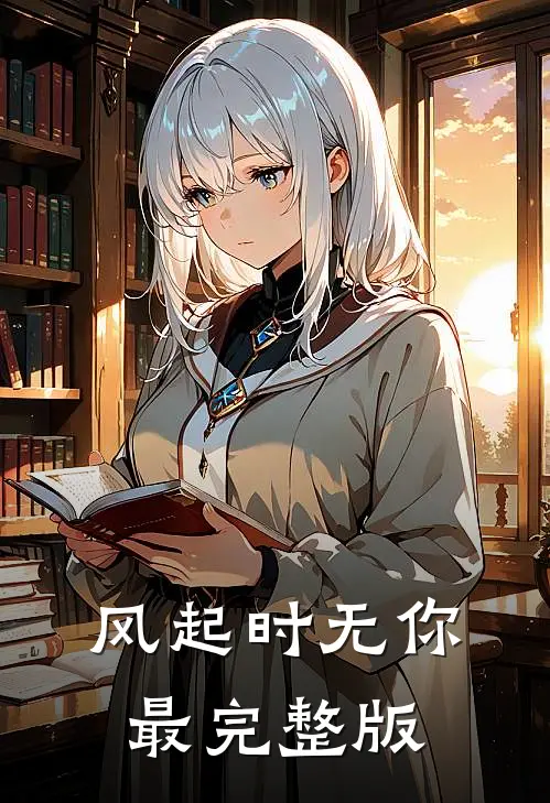 风起时无你最完整版