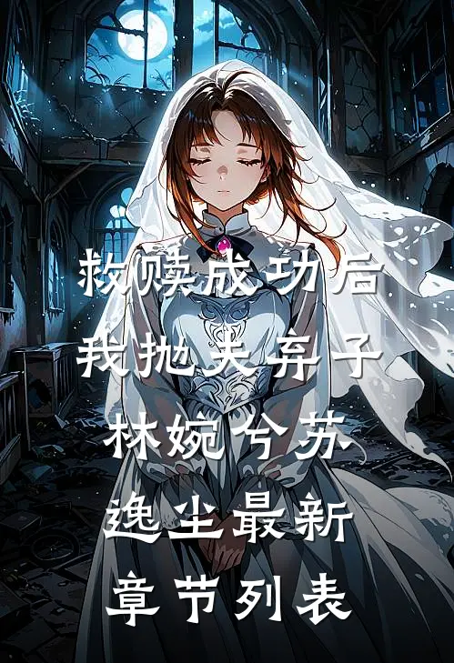 救赎成功后，我抛夫弃子林婉兮苏逸尘最新章节列表
