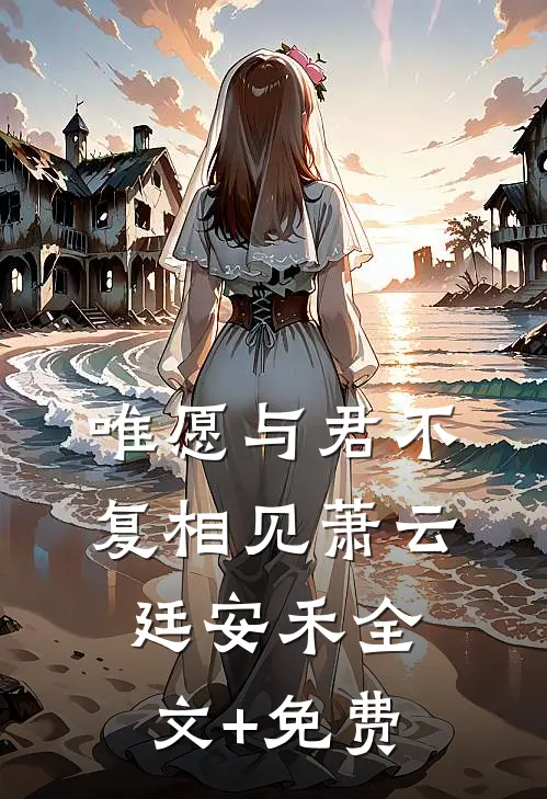 唯愿与君不复相见萧云廷安禾全文+免费