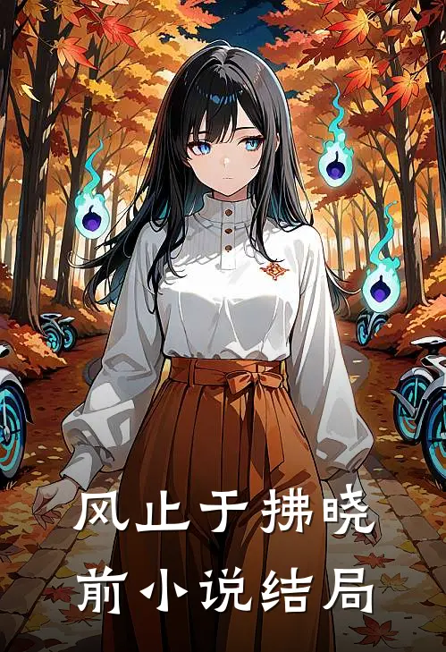 风止于拂晓前小说结局