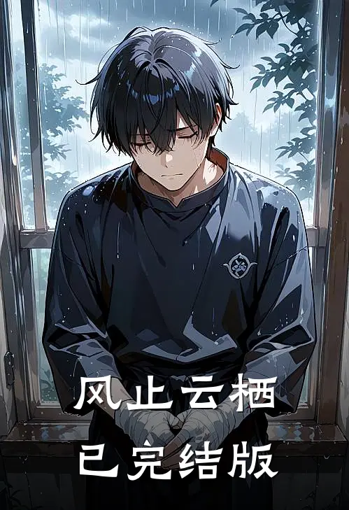 风止云栖已完结版