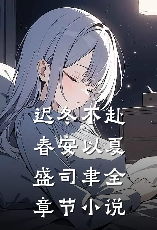 迟冬不赴春安以夏盛司聿全章节小说