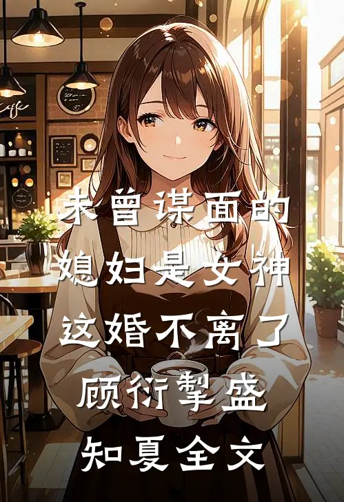 未曾谋面的媳妇是女神，这婚不离了顾衍掣盛知夏全文