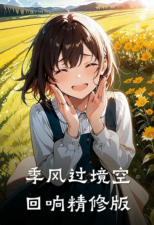 季风过境空回响精修版