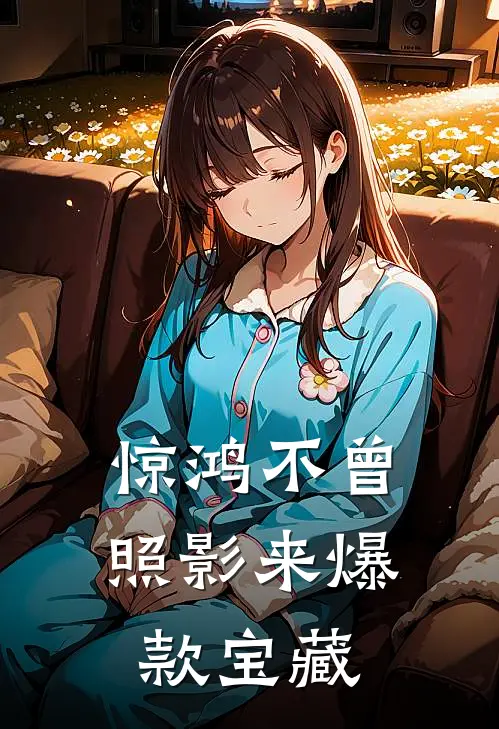 惊鸿不曾照影来爆款宝藏