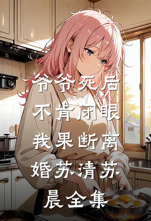 爷爷死后不肯闭眼，我果断离婚苏清苏晨全集