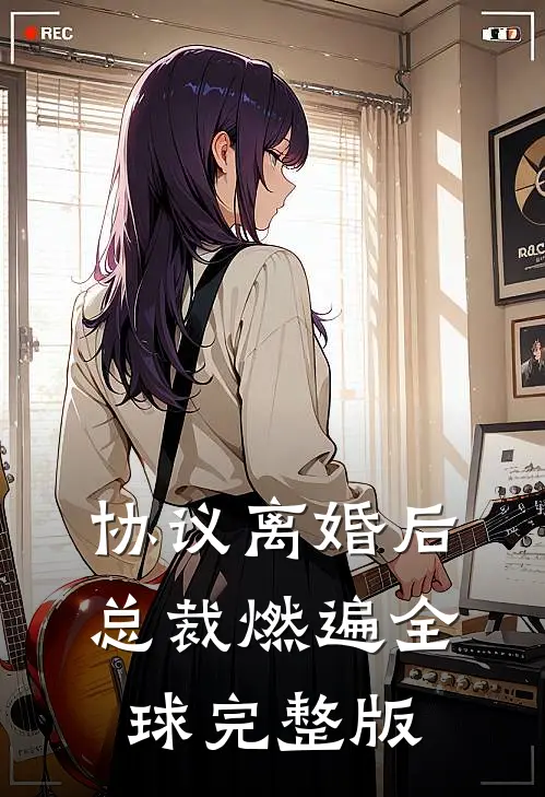 协议离婚后，总裁燃遍全球完整版