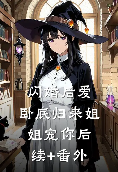 闪婚后爱，卧底归来姐姐宠你后续+番外