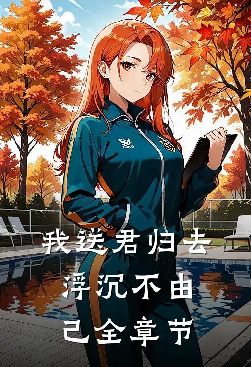 我送君归去，浮沉不由己全章节