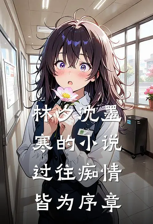 林夕沈墨寒的小说过往痴情，皆为序章