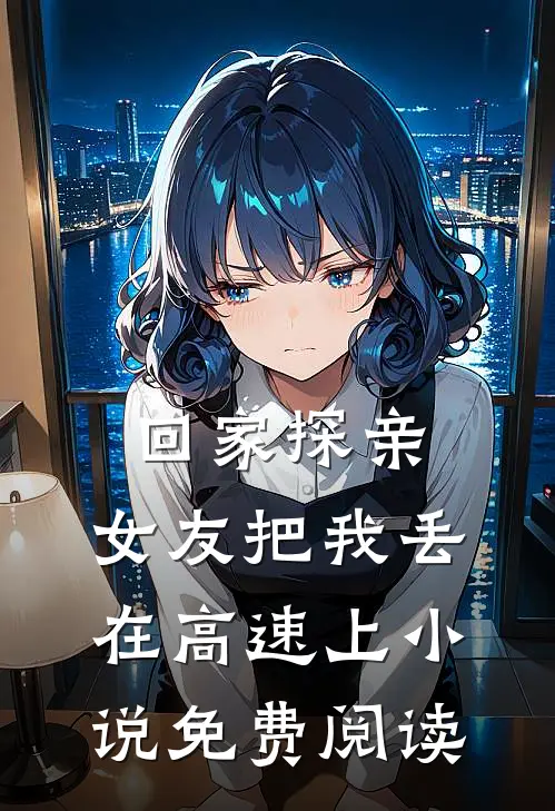 回家探亲，女友把我丢在高速上小说免费阅读