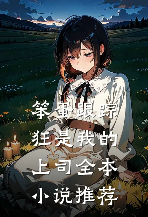 笨蛋跟踪狂是我的上司全本小说推荐