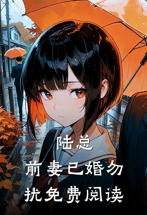 陆总,前妻已婚勿扰免费阅读