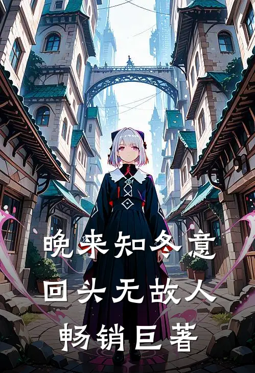 晚来知冬意，回头无故人畅销巨著
